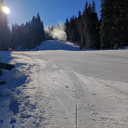 Strim 406, * Pamporovo